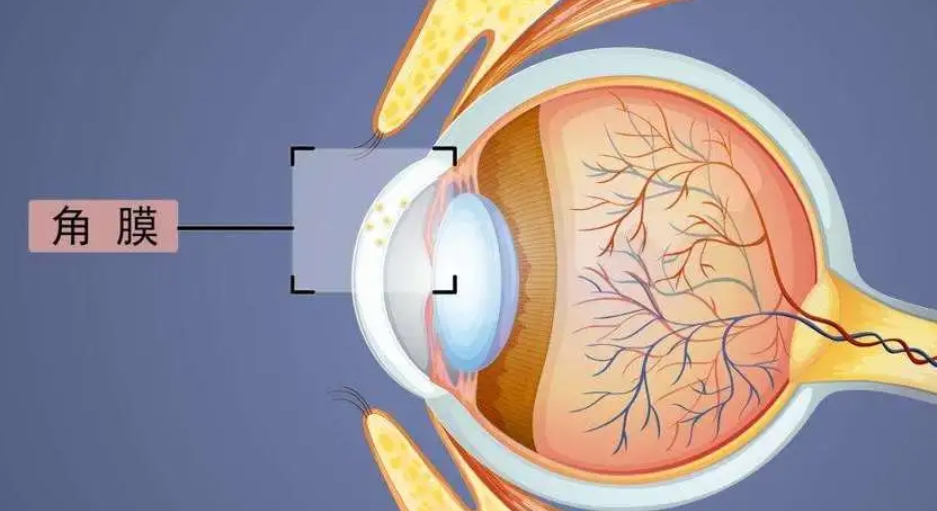 二、内蒙古朝聚眼科医院特色服务