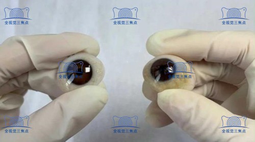 义眼片的种类和价格表www.sanjiaojingti.com