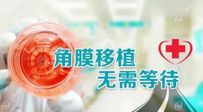 穿透性角膜移植术和板层角膜移植术维持时间差不多