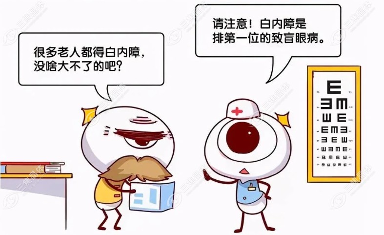 人工晶体十大排名+价格