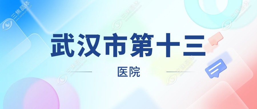 武汉市第十三医院