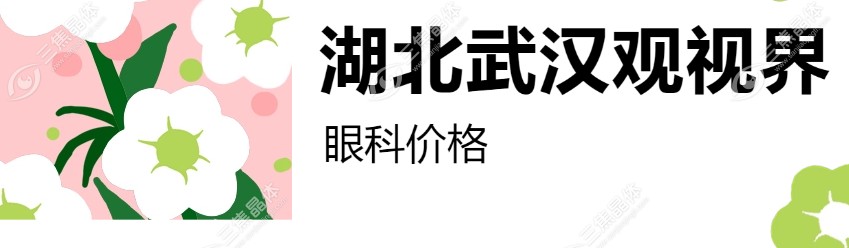 湖北武汉观视界眼科价格