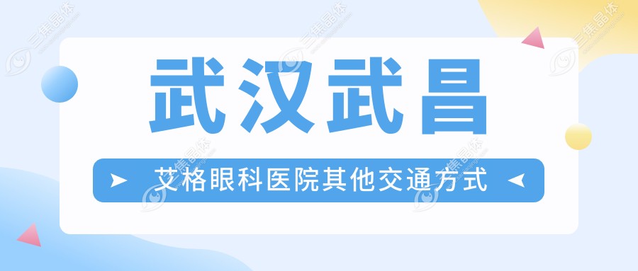 武汉武昌艾格眼科医院其他交通方式