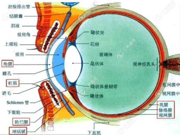爱尔眼科做后巩膜加固手术价格费用