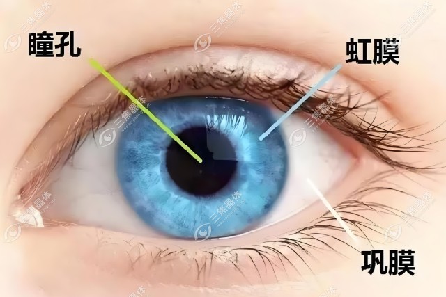 后巩膜加固术5年以后的成效如何