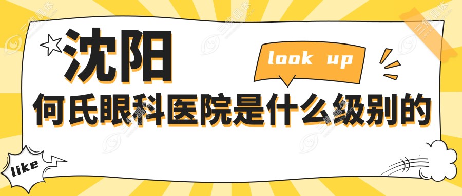 沈阳何氏眼科医院是什么级别的
