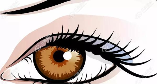   长沙睛点眼科和爱尔眼科哪个好？2025年患者口碑与医生团队解析