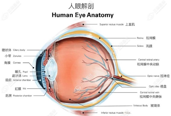 成都近视手术成功实例展示 www.sanjiaojingti.com