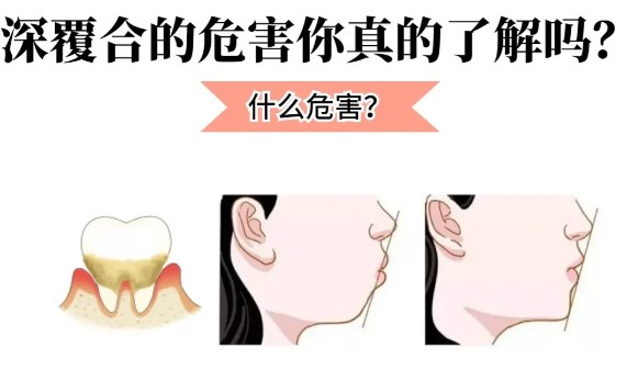 五、别人是怎么评价的？
