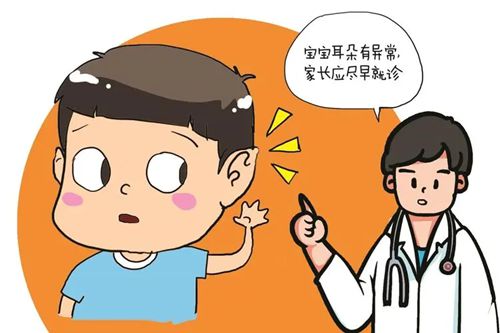 安波耳再造用的什么材料？舒铂支架不取肋软骨，一次成型真绝了！